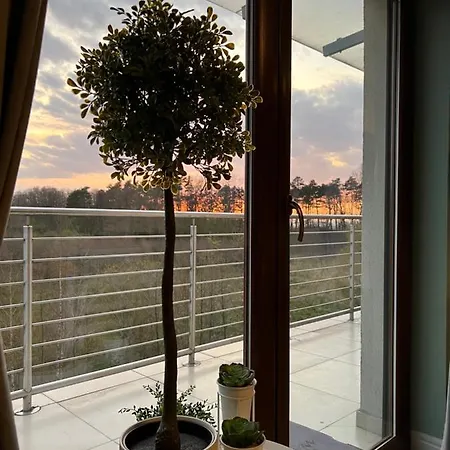 Apartman Grey 21